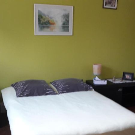 Appartement "Les Goumis" Baccarat Kültér fotó